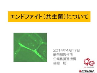 エンドファイト（共生菌）について
2014年4月17日
㈱前川製作所
企業化推進機構
篠崎 聡
 
