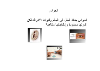 ‫اس‬ ‫ا‬
‫دراك‬ ‫ا‬ ‫ات‬ ‫و‬ ‫ا‬ ‫ا‬ ‫ا‬ ‫اس‬ ‫ا‬
‫ه‬ ‫وإ‬ ‫ودة‬ ‫ر‬
 