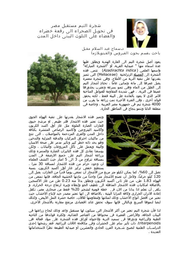 المقالة شجرة النيم مستقبل مصر