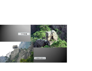 千年老龜
白鵝嶺的飛來石
35/41
 