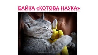 Калуська ЗОШ І-ІІІ ст. №3 Прокопів В. В.
 