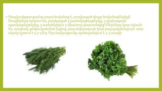 • Ծաղկափթթությունը բարդ հովանոց է, բաղկացած փոքր հովանոցներից։
Ծաղիկները երկսեռ են, բաղկացած 5 բաժակաթերթերից, 5 դեղնագույն
պասկաթերթերից, 5 առէջներից և 2 միաձույլ վարսանդից։Սերմերը կլոր-ձվաձև
են, տափակ, թեփուկանման եզրով, բազ մոխրագույն կամ բաց դարչնագույնֈ 1000
սերմը կշռում է 1,7-1,8 գֈ Ծլունակությունը պահպանվում է 2-3 տարիֈ
 