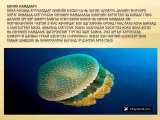 ӨВЧИН НАМДААГЧ
КОКА КОЛАНД АГУУЛАГДДАГ ХИМИЙН НЭГДЛҮҮД НЬ ЗӨГИЙ, ШУМУУЛ, ДАЛАЙН МӨГӨӨРС
ЗЭРЭГ АМЬТДАД ХАТГУУЛСАН ӨВЧНИЙГ НАМДААХАД ХАМГИЙН ХЭРЭГТЭЙ ЭД БАЙДАГ ГЭНЭ.
ДАЛАЙН ЭРГЭЭР АМАРЧ БАЙГАА ХҮМҮҮСИЙН ОЛОНХ НЬ ӨВЧИН НАМДААХ ЭМ
МЭТЧИЛЭНГИЙН ҮНЭТЭЙ ЗҮЙЛС АВЧИРДАГ БОЛ ЭДГЭЭРИЙН ОРОНД ГАНЦ ЛААЗ КОЛА БАЙХАД
Л ХАНГАЛТТАЙ АЖЭЭ. АМЬТАНД ХАТГУУЛЖ ЭСВЭЛ ХАЗУУЛСАН ХЭСЭГТЭЭ КОКА КОЛА АСГАХ
НЬ ӨВЧНИЙГ НАМДААЖ ЭДГЭРЭЛТИЙГ ТҮРГЭСГЭДЭГ БАЙНА. ЭНЭ АРГЫГ ХЭРЭГЛЭЭД
НЭМЭРГҮЙ БАЙВАЛ ТУХАЙ ХЭСЭГТЭЭ ӨӨРИЙНХӨӨ ЭСВЭЛ ХЭН НЭГНИЙ ШЭЭСЭЭР ЖИН
ТАВЬЖ ШАВШИХ НЬ ХАЧИРХАЛТАЙ БӨГӨӨД ҮР ДҮНТЭЙ АРГА ГЭНЭ.
 