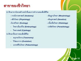 Free Powerpoint Templates
Page 15
2. ศึกษาจากโครงสร้างหน้าที่และการทางานของสิ่งมีชีวิต
- กายวิภาคศาสตร์ (Anatomy) - สัณฐานวิทยา (Morphology)
- สรีรวิทยา (Physiology) - พันธุศาสตร์ (Genetics)
- นิเวศวิทยา (Ecology) - เนื้อเยื่อวิทยา (Histology)
- วิทยาเอ็มบริโอ (Embryology) - ปรสิตวิทยา (Parasitology)
- วิทยาเซลล์ (Cytology)
3. ศึกษาเรื่องราวของสิ่งมีชีวิต
- อนุกรมวิธาน (Taxonomy)
- วิวัฒนาการ (Evolution)
- บรรพชีวินวิทยา (Paleontology)
สาขาของชีววิทยา
 