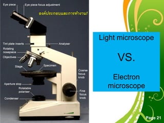 Free Powerpoint Templates
Page 21
Light microscope
VS.
Electron
microscope
องค์ประกอบและการทางาน!
 