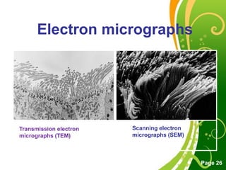 Free Powerpoint Templates
Page 26
Electron micrographs
Transmission electron
micrographs (TEM)
Scanning electron
micrographs (SEM)
 