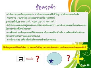 Free Powerpoint Templates
Page 28
ข้อควรจำ
- กำลังขยำยของกล้องจุลทรรศน์ = กำลังขยำยของเลนส์ใกล้วัตถุ x กำลังขยำยเลนส์ใกล้ตำ
- ขนำดภำพ = ขนำดวัตถุ x กำลังขยำยของกล้องจุลทรรศน์
@ หน่วยที่ใช้บ่อย mm (10-3 ) / m (10-6 ) / nm (10-9 )
-ถ้ำกำลังขยำยของกล้องสูงจะเห็นภำพที่มีรำยละเอียดมำกกว่ำ แต่บริเวณขอบเขตที่มองเห็นภำพจะ
น้อยกว่ำกล้องที่มีกำลังขยำยต่ำ
- ภำพที่มองผ่ำนกล้องจุลทรรศน์ใช้แสงธรรมดำเป็นภำพเสมือนหัวกลับ ภำพที่มองเห็นในกล้องจะ
กลับจำกซ้ำยเป็นขวำและบนเป็นล่ำงเสมอ
- กำรเลื่อน slide จะต้องเลื่อนในทิศทำงตรงข้ำมกับภำพเสมอ
ใช้กล้องจุลทรรศน์ที่มีเลนส์ใกล้ตำ 15X และเลนส์ใกล้วัตถุ 100X มองเห็นเซลล์ยำว 100 ไมครอน ขนำดจริงของเซลล์คือ ?
? ?
 