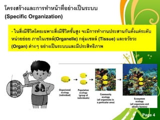 Free Powerpoint Templates
Page 4
โครงสร้างและการทาหน้าที่อย่างเป็นระบบ
(Specific Organization)
- ในสิ่งมีชีวิตโดยเฉพาะสิ่งมีชีวิตชั้นสูง จะมีการทางานประสานกันตั้งแต่ระดับ
หน่วยย่อย ภายในเซลล์(Organelle) กลุ่มเซลล์ (Tissue) และอวัยวะ
(Organ) ต่างๆ อย่างเป็นระบบและมีประสิทธิภาพ
 
