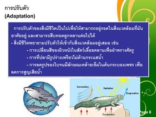 Free Powerpoint Templates
Page 6
การปรับตัว
(Adaptation)
- การปรับตัวของสิ่งมีชีวิตเป็นไปเพื่อให้สามารถอยู่รอดในสิ่งแวดล้อมที่มัน
อาศัยอยู่ และสามารถสืบทอดลูกหลานต่อไปได้
- สิ่งมีชีวิตพยายามปรับตัวให้เข้ากับสิ่งแวดล้อมอยู่เสมอ เช่น
- การเปลี่ยนสีของผิวหนังในสัตว์เลื้อยคลานเพื่ออาพรางศัตรู
- การที่ปลามีรูปร่างเพรียวไม่ต้านกระแสน้า
- การลดรูปของใบจนมีลักษณะคล้ายเข็มในต้นกระบองเพชร เพื่อ
ลดการสูญเสียน้า
 