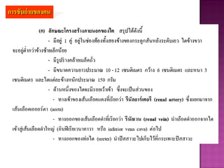 การขับถ่ายของคน
 