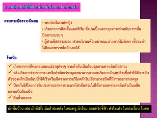 ความผิดปกติที่เกี่ยวเนื่องกับไตและโรคของไต
โรคนิ่ว
 เกิดจากการที่ตะกอนของแร่ธาตุต่างๆ รวมตัวกันเป็นก้อนอุดตามทางเดินปัสสาวะ
 หรือเกิดจากร่างกายกรองหรือกาจัดแร่ธาตุออกมามากอาจจะเกิดจากอักเสบติดเชือทาให้มีการจับ
ตัวของผลึกเป็นก้อนนิ่วได้เร็วหรือเกิดจากการบริโภคผักใบเขียวบางชนิดที่มีสารออกซาเลตสูง
 ป้องกันได้โดยการรับประทานอาหารประเภทโปรตีนช่วยไม่ให้สารออกซาเลตจับตัวเป็นผลึก
กลายเป็นก้อนนิ่ว
 ดื่มนาสะอาด
กระเพาะปัสสาวะอักเสบ • พบบ่อยในเพศหญิง
• เกิดจากการติดเชือแบคทีเรีย ซึ่งปนเปื้อนจากอุจจาระร่วมกับการกลัน
ปัสสาวะนานๆ
• ผู้ป่วยปัสสาวะบ่อย ปวดบริเวณหัวเหน่าขณะถ่ายหากไม่รักษา เชือจะทา
ให้ไตและกรวยไตอักเสบได้
ผักพืนบ้าน เช่น ผักชีฝรั่ง มันสาปะหลัง ใบชะพลู ผักโขม ยอดพริกขีฟ้า หัวไชเท้า ใบกระเจี๊ยบ ใบยอ
 