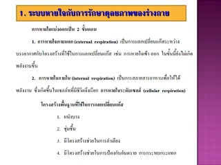 1. ระบบหายใจกับการรักษาดุลยภาพของร่างกาย
 