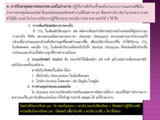 4. การรักษาดุลยภาพของกรด-เบสในร่างกาย ปฏิกิริยาเคมีเกือบทั้งหมดในกระบวนการเมแทบอลิซึมใน
ร่างกายควบคุมโดยเอนไซม์ ซึ่งเอนไซม์แต่ละชนิดจะทางานได้ในสภาพ pH ที่แตกต่างกัน เช่น ในกระเพาะ (กรด)
ลาไส้เล็ก (เบส) ในร่างกายเกิดจากปฏิกิริยาของการหายใจ (กรด) สามารถทาได้ 3 วิธี คือ
โดยกาลังในการรักษา pH : ไต (ออกไปเยอะ) > หายใจ (ออกไปทีละน้อย) > บัฟเฟอร์ (ปฏิกิริยาเคมี)
ความเร็ดวในการรักษา pH : บัฟเฟอร์ (เสียววินาที) > หายใจ (นาที) > ไต (ชั่วโมง)
 