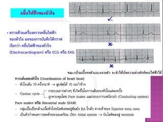 คลื่นไฟฟ้ าของหัวใจ
• ตรวจด้วยเครื่องตรวจคลื่นไฟฟ้า
ของหัวใจ ผลของการบันทึกได้กราฟ
เรียกว่า คลื่นไฟฟ้าของหัวใจ
(Electrocardiogram) หรือ ECG หรือ EKG



 