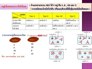 หมู่เลือดและการให้เลือด • จาแนกตามระบบ ABO ได้ 4 หมู่ คือ A ,B , AB และ O
( ตามชนิดของไกลโคโปรตีน หรือแอนติเจนที่เยื่อหุ้มเซลล์เม็ดเลือดแดง )
 