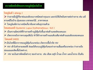 ความผิดปกติของระบบภูมิคุ้มกันโรค
โรคภูมิแพ้ ( allergy )
 ร่างกายมีปฏิกิริยาต่อแอนติเจนบางชนิดอย่างรุนแรง และก่อให้เกิดอันตรายต่อร่างกาย เช่น แพ้
สารเคมีในบ้าน ฝุ่นละออง เกสรดอกไม้ , อาหารทะเล
 โรคภูมิแพ้สารบางชนิดเกี่ยวข้องทางพันธุกรรมด้วย
โรคเอสแอลอี (Systemic Lupus Erythematiosus : SLE )
 เป็นความผิดปกติที่ร่างกายสร้างภูมิคุ้มกันขึนมาต่อต้านเซลล์ของตนเอง
 เกิดจากกลไกการควบคุมเสียไป ทาให้ร่างกายสร้างแอนติบอดีมาต่อต้านแอนติเจนของตนเอง
โรคเอดส์ (AIDS)
เป็นโรคที่มีอาการของภูมิคุ้มกันบกพร่อง เกิดจากเชือไวรัส HIV
 HIV เข้าไปทาลายเซลล์ที ส่งผลให้ระบบภูมิคุ้มกันของร่างกายเสื่อมหรือบกพร่อง ร่างกายจึง
อ่อนแอและติดเชือโรคต่างๆ
 HIV พบในสารคัดหลั่งต่างๆ ของร่างกาย เช่น เลือด อสุจิ นานม นาตา และนาลาย เป็นต้น
 