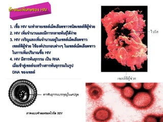 ลักษณะพิเศษของ HIV
1. เชือ HIV จะทาลายเซลล์เม็ดเลือดขาวชนิดเซลล์ทีผู้ช่วย
2. HIV เพิ่มจานวนและมีการกลายพันธุ์ได้ง่าย
3. HIV เจริญและเพิ่มจานวนอยู่ในเซลล์เม็ดเลือดขาว
เซลล์ทีผู้ช่วย ใช้องค์ประกอบต่างๆ ในเซลล์เม็ดเลือดขาว
ในการเพิ่มปริมาณชือ HIV
4. HIV มีสารพันธุกรรม เป็น RNA
เมื่อเข้าสู่เซลล์จะสร้างสารพันธุกรรมในรูป
DNA ของเซลล์
 