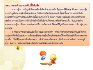 บทบาทของจิบเบอเรลลินที่มีต่อพืช
1. กระตุ้นการเจริญเติบโตของพืชทั้งต้น จิบเบอเรลลินมีคุณสมบัติพิเศษ ซึ่งสามารถกระตุ้น
การเจริญเติบโตของพืชทั้งต้นได้โดยทาให้เกิดการยืดตัวของเซลล์ ซึ่งผลนี้จะต่างจากออกซินซึ่ง
สามารถกระตุ้นการเจริญเติบโตของชิ้นส่วนของพืชได้ พืชบางชนิดอาจจะไม่ตอบสนองต่อจิบเบอ
เรลลิน อาจจะเป็นเพราะว่าในพืชชนิดนั้นมีปริมาณจิบเบอเรลลินเพียงพอแล้ว จิบเบอเรลลิน
สามารถกระตุ้นการยืดยาวของช่อดอกไม้บางชนิดและทาให้ผลไม้มีรูปร่างยาวออกมา เช่น องุ่น และ
แอปเปิล
2. กระตุ้นการงอกของเมล็ดที่พักตัวและตาที่พักตัว ตาของพืชหลายชนิดที่เจริญอยู่ในเขต
อบอุ่นจะพักตัวในฤดูหนาว เมล็ดของพืชหลายชนิดมีพฤติกรรมเช่นนี้ด้วย ซึ่งการพักตัวจะลดลงจน
หมดไป เมื่อได้รับความเย็นเพียงพอ การพักตัวของเมล็ดและตา อันเนื่องมาจากต้องการอุณหภูมิ
ต่า วันยาว และต้องการแสงสีแดงจะหมดไปเมื่อได้รับจิบเบอเรลลิน
 