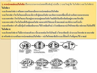 2. การแบ่งเซลล์แบบไมโอซิส เป็นกระบวนการแบ่งเซลล์สืบพันธุ์ แบ่งเป็น 2 ระยะใหญ่ คือ ไมโอซิส I และไมโอซิส II
ไมโอซิส I
ระยะอินเตอร์เฟส I เตรียมความพร้อมเหมือนการแบ่งเซลล์แบบไมโทซิส
ระยะโพรเฟส I โครโมโซมหดสั้นและมีการเข้าคู่ฮอมอโลกัส และเกิดการแลกเปลี่ยนชิ้นส่วนเกิดความหลากหลาย
ระยะเมทาเฟส I โครโมโซมจะเรียงอยู่กลางเแบบคู่ฮอมอโลกัส โดยมีเส้นใยสปินเดิลจับอยู่ตรงเซนโทรเมีย
ระยะแอนาเฟส I โครโมโซมที่เป็นคู่ฮอมอโลกัส แยกจากกันไปคนละขั้วของเซลล์ และมีจานวนครึ่งหนึ่ง
ระยะเทโลเฟส I สร้างเยื่อหุ้มนิวเคลียสล้อมรอบ ได้นิวเคลียสใหม่ 2 นิวเคลียสและแบ่งไซโทพลาซึม แต่อาจจะไม่เกิดก็ได้
ไมโอซิส II
ระยะอินเตอร์เฟส II ไม่มีการจาลองตัวเอง เนื่องจากแต่ละโครโมโซมมี 2 โครมาทิดแล้ว ส่วนระยะโพรเฟส II แอนาเฟส
II เทโลเฟส II จะคล้ายการแบ่งเซลล์แบบไมโทซิส + แบ่งไซโทพลาซึมในระยะนี้อีกครั้ง ในที่สุดจะได้ 4 เซลล์
 
