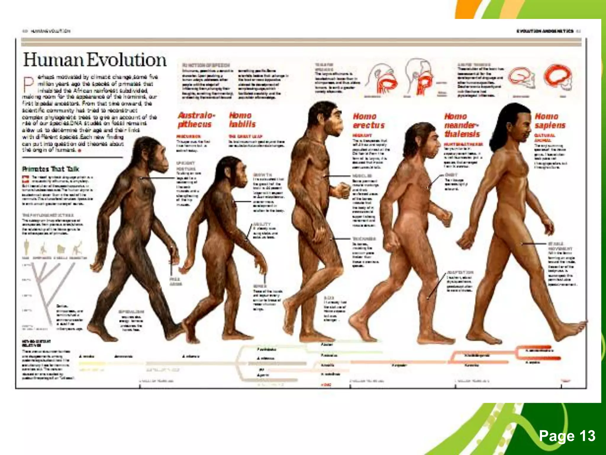 Free Powerpoint Templates
Page 13
 