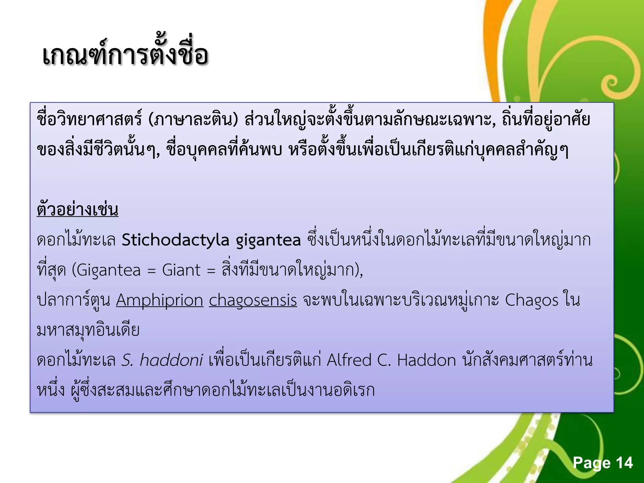 Free Powerpoint Templates
Page 14
เกณฑ์การตั้งชื่อ
ชื่อวิทยาศาสตร์ (ภาษาละติน) ส่วนใหญ่จะตั้งขึ้นตามลักษณะเฉพาะ, ถิ่นที่อยู่อาศัย
ของสิ่งมีชีวิตนั้นๆ, ชื่อบุคคลที่ค้นพบ หรือตั้งขึ้นเพื่อเป็นเกียรติแก่บุคคลสาคัญๆ
ตัวอย่างเช่น
ดอกไม้ทะเล Stichodactyla gigantea ซึ่งเป็นหนึ่งในดอกไม้ทะเลที่มีขนาดใหญ่มาก
ที่สุด (Gigantea = Giant = สิ่งทีมีขนาดใหญ่มาก),
ปลาการ์ตูน Amphiprion chagosensis จะพบในเฉพาะบริเวณหมู่เกาะ Chagos ใน
มหาสมุทอินเดีย
ดอกไม้ทะเล S. haddoni เพื่อเป็นเกียรติแก่ Alfred C. Haddon นักสังคมศาสตร์ท่าน
หนึ่ง ผู้ซึ่งสะสมและศึกษาดอกไม้ทะเลเป็นงานอดิเรก
 