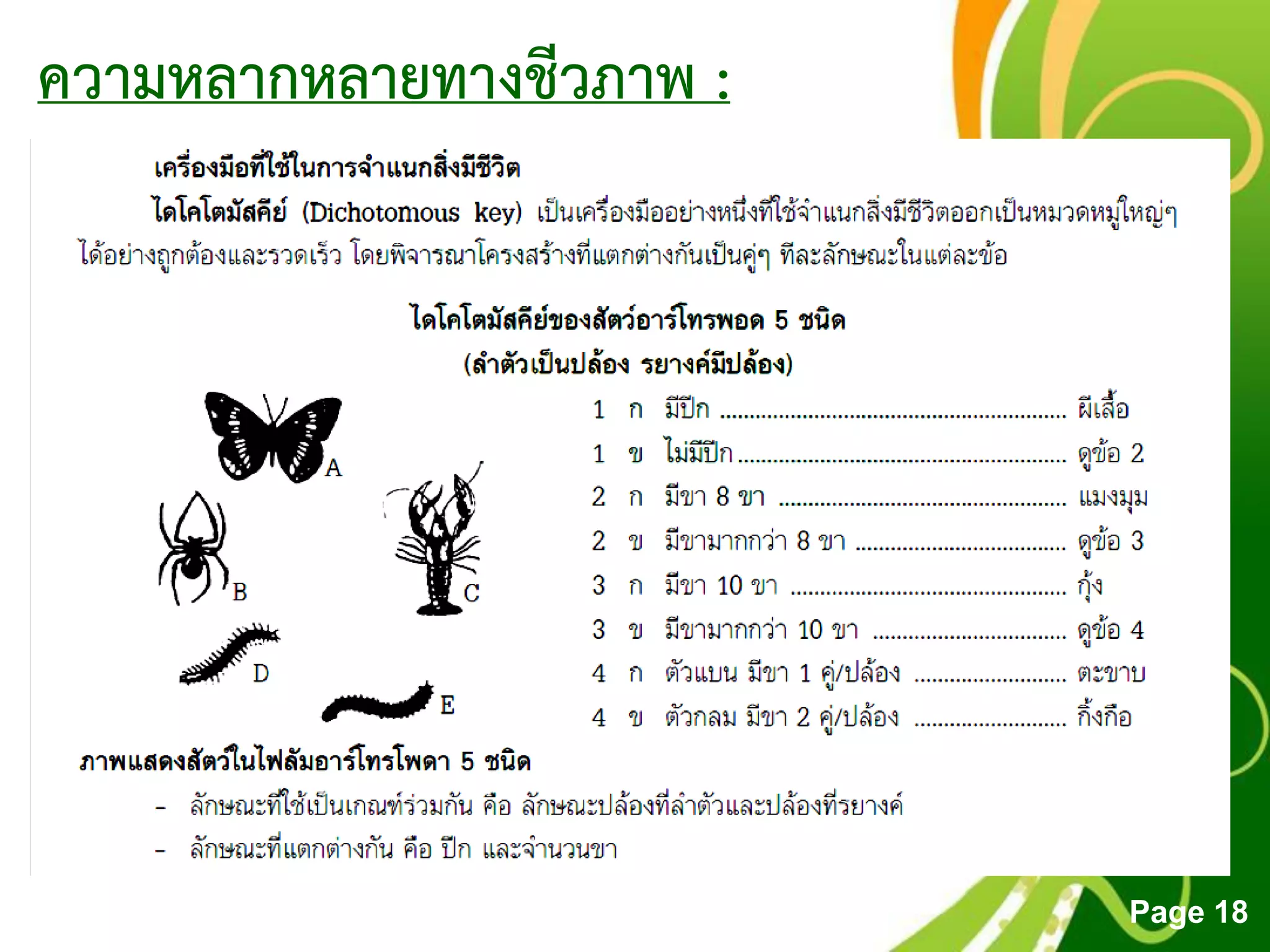 Free Powerpoint Templates
Page 18
ความหลากหลายทางชีวภาพ :
 