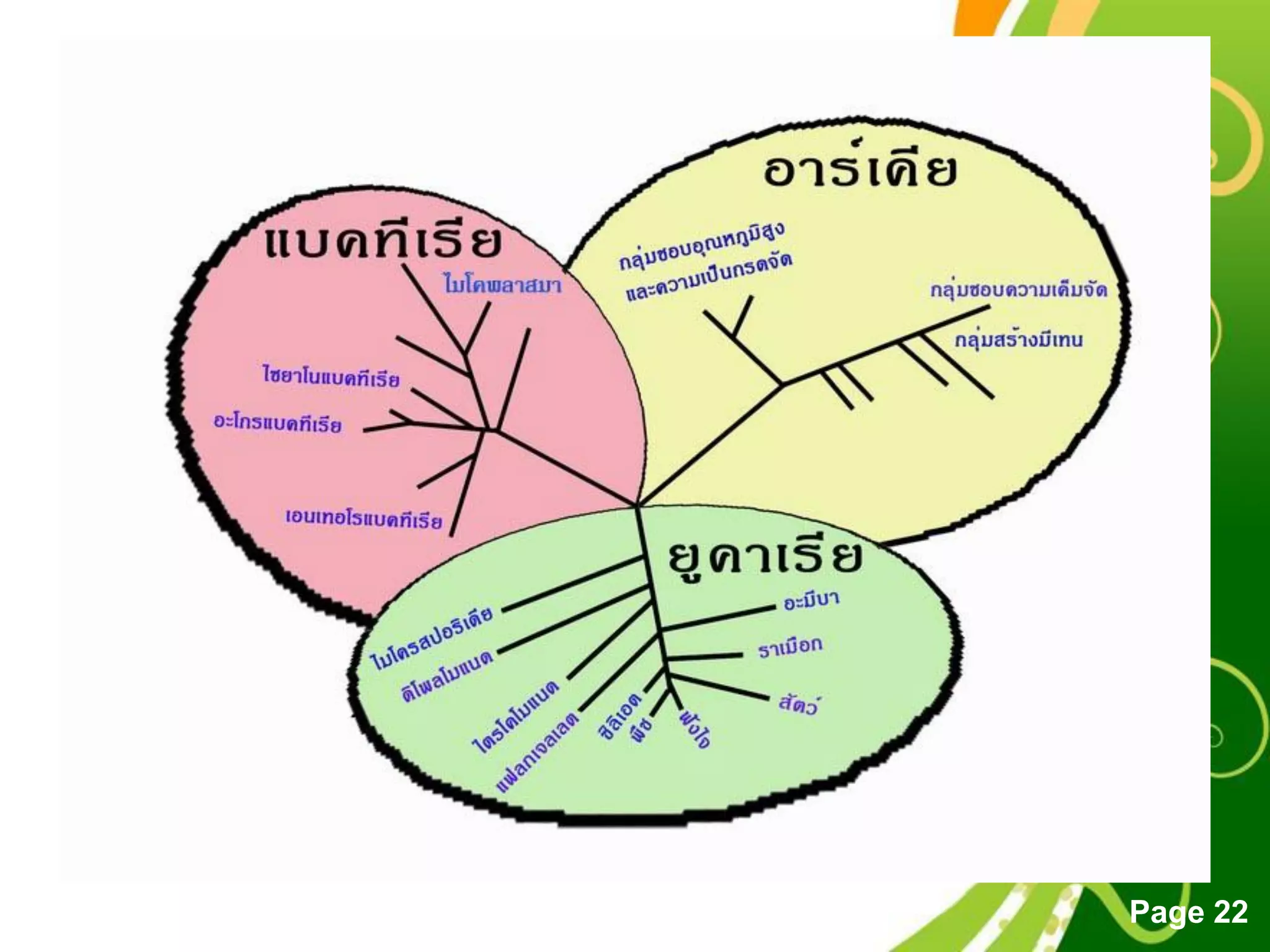 Free Powerpoint Templates
Page 22
 