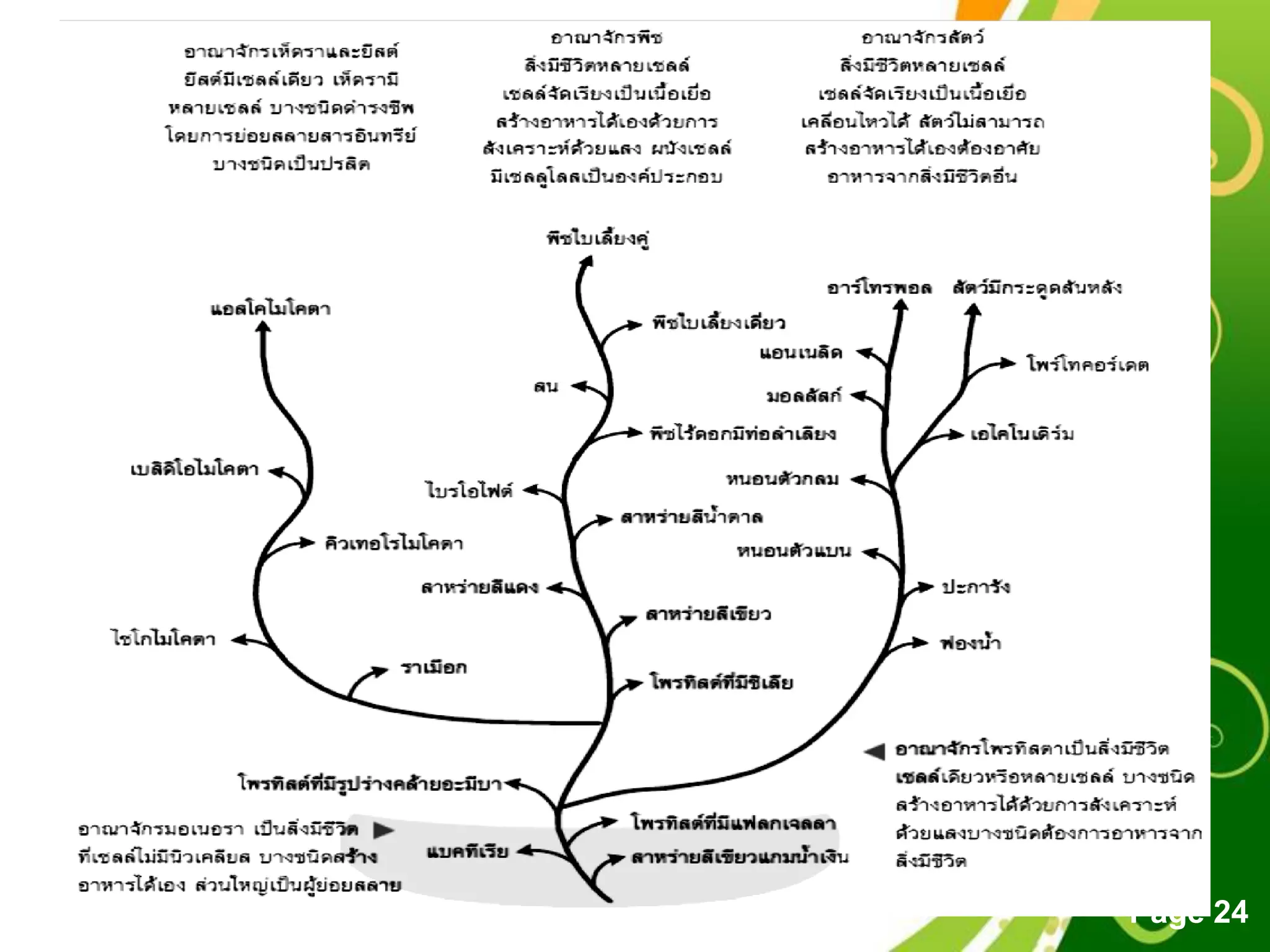 Free Powerpoint Templates
Page 24
 