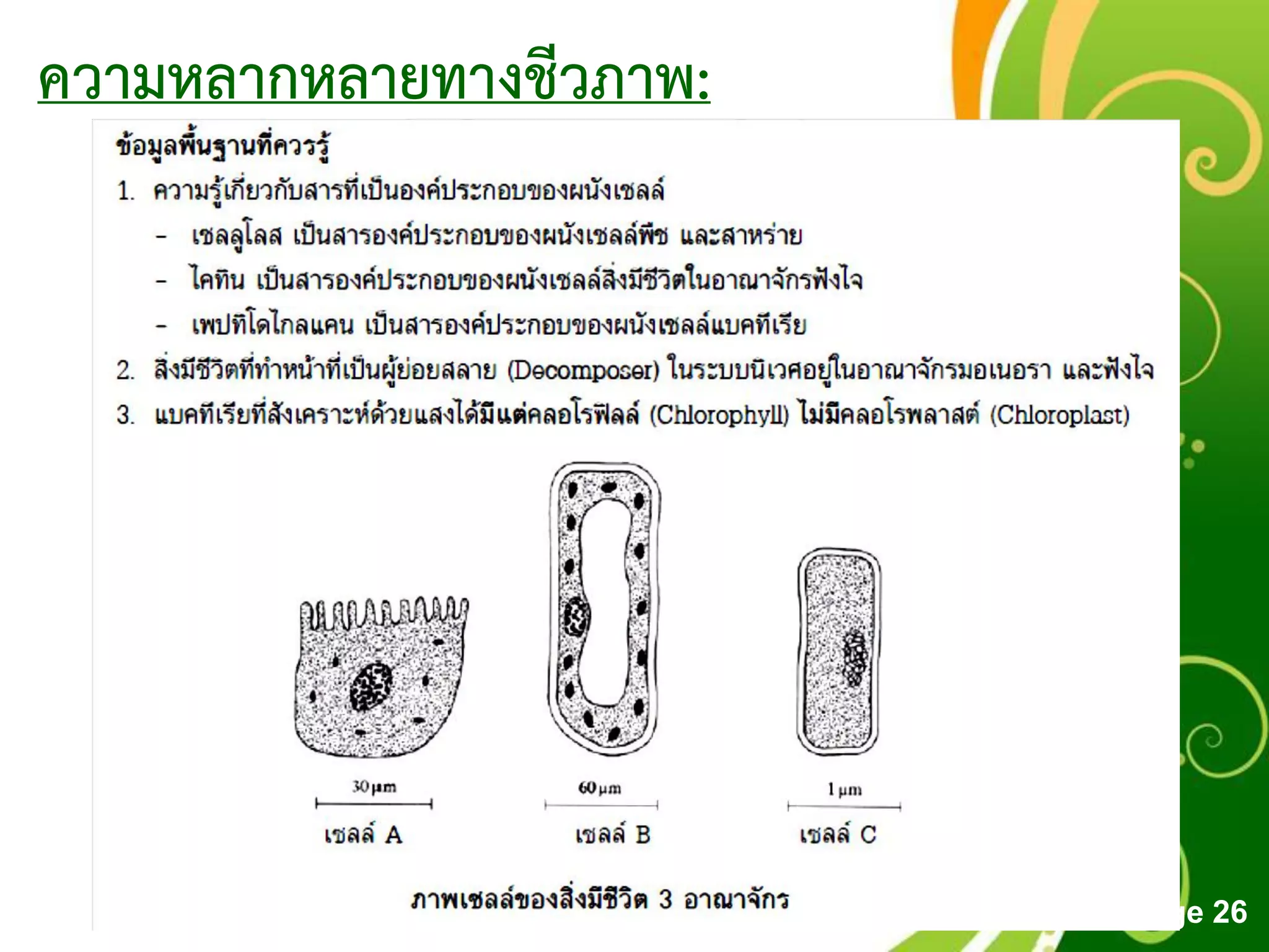 Free Powerpoint Templates
Page 26
ความหลากหลายทางชีวภาพ:
 