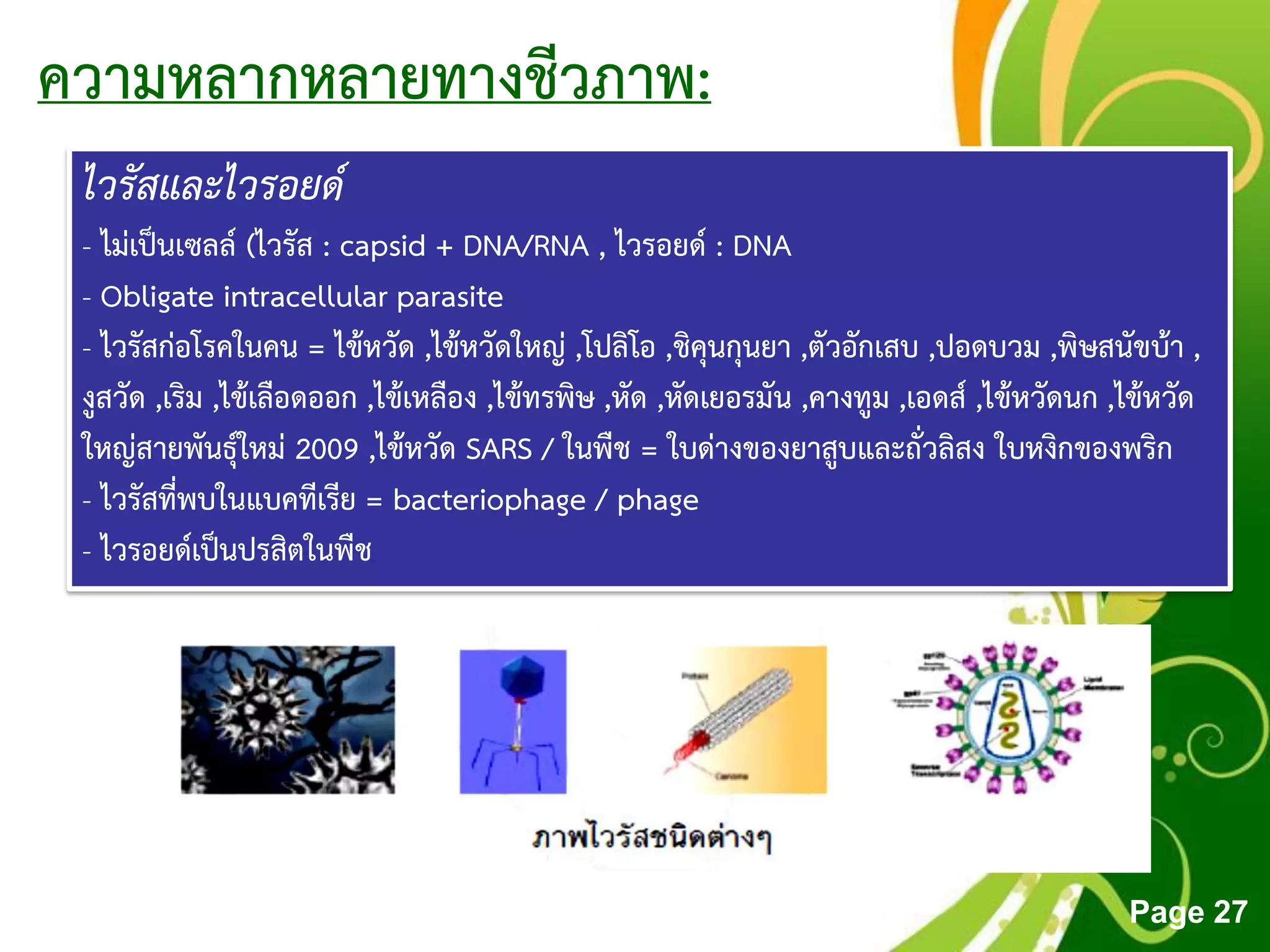 Free Powerpoint Templates
Page 27
ความหลากหลายทางชีวภาพ:
ไวรัสและไวรอยด์
- ไม่เป็นเซลล์ (ไวรัส : capsid + DNA/RNA , ไวรอยด์ : DNA
- Obligate intracellular parasite
- ไวรัสก่อโรคในคน = ไข้หวัด ,ไข้หวัดใหญ่ ,โปลิโอ ,ชิคุนกุนยา ,ตัวอักเสบ ,ปอดบวม ,พิษสนัขบ้า ,
งูสวัด ,เริม ,ไข้เลือดออก ,ไข้เหลือง ,ไข้ทรพิษ ,หัด ,หัดเยอรมัน ,คางทูม ,เอดส์ ,ไข้หวัดนก ,ไข้หวัด
ใหญ่สายพันธุ์ใหม่ 2009 ,ไข้หวัด SARS / ในพืช = ใบด่างของยาสูบและถั่วลิสง ใบหงิกของพริก
- ไวรัสที่พบในแบคทีเรีย = bacteriophage / phage
- ไวรอยด์เป็นปรสิตในพืช
 
