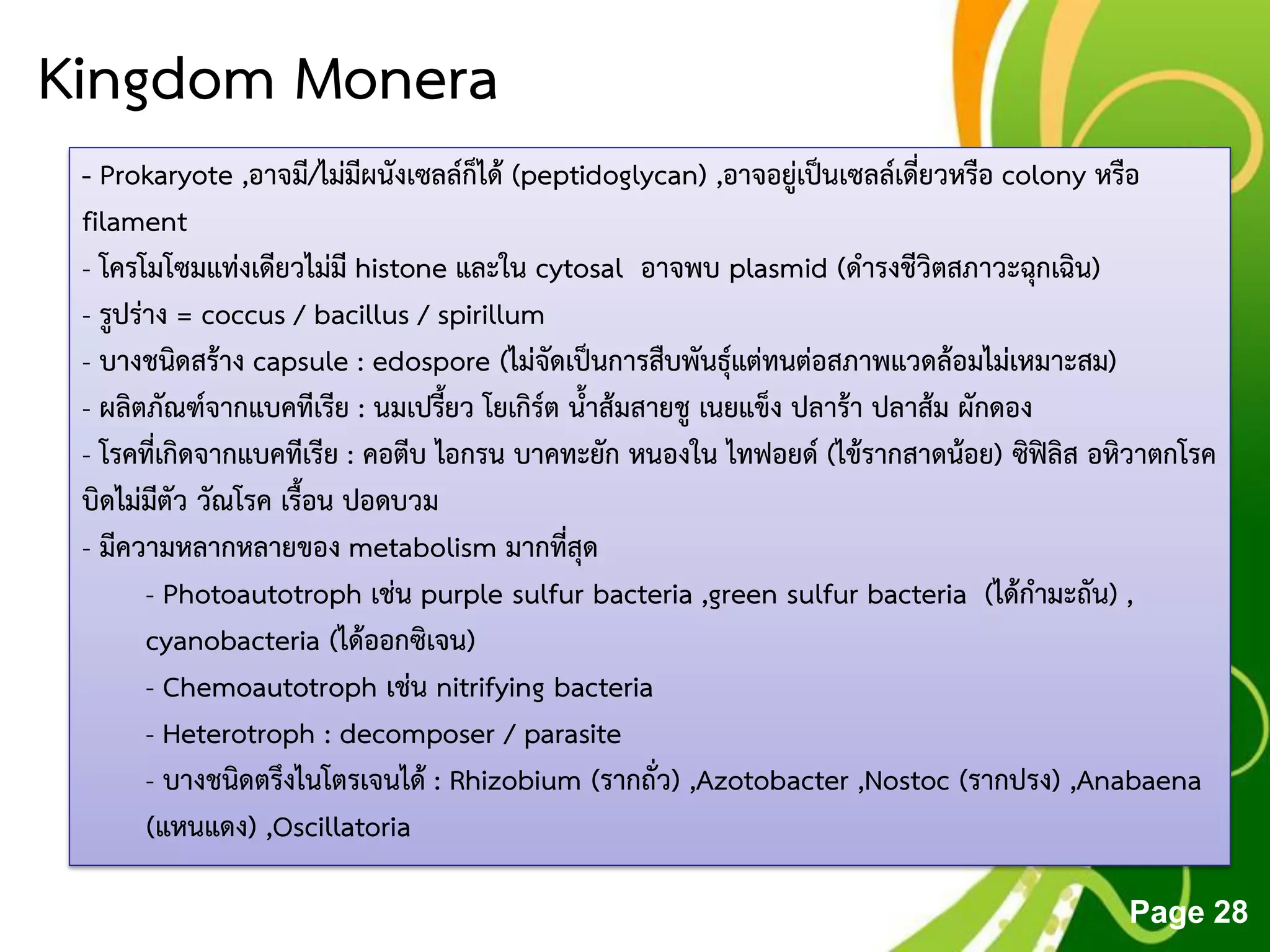 Free Powerpoint Templates
Page 28
Kingdom Monera
- Prokaryote ,อาจมี/ไม่มีผนังเซลล์ก็ได้ (peptidoglycan) ,อาจอยู่เป็นเซลล์เดี่ยวหรือ colony หรือ
filament
- โครโมโซมแท่งเดียวไม่มี histone และใน cytosal อาจพบ plasmid (ดารงชีวิตสภาวะฉุกเฉิน)
- รูปร่าง = coccus / bacillus / spirillum
- บางชนิดสร้าง capsule : edospore (ไม่จัดเป็นการสืบพันธุ์แต่ทนต่อสภาพแวดล้อมไม่เหมาะสม)
- ผลิตภัณฑ์จากแบคทีเรีย : นมเปรี้ยว โยเกิร์ต น้าส้มสายชู เนยแข็ง ปลาร้า ปลาส้ม ผักดอง
- โรคที่เกิดจากแบคทีเรีย : คอตีบ ไอกรน บาคทะยัก หนองใน ไทฟอยด์ (ไข้รากสาดน้อย) ซิฟิลิส อหิวาตกโรค
บิดไม่มีตัว วัณโรค เรื้อน ปอดบวม
- มีความหลากหลายของ metabolism มากที่สุด
- Photoautotroph เช่น purple sulfur bacteria ,green sulfur bacteria (ได้กามะถัน) ,
cyanobacteria (ได้ออกซิเจน)
- Chemoautotroph เช่น nitrifying bacteria
- Heterotroph : decomposer / parasite
- บางชนิดตรึงไนโตรเจนได้ : Rhizobium (รากถั่ว) ,Azotobacter ,Nostoc (รากปรง) ,Anabaena
(แหนแดง) ,Oscillatoria
 