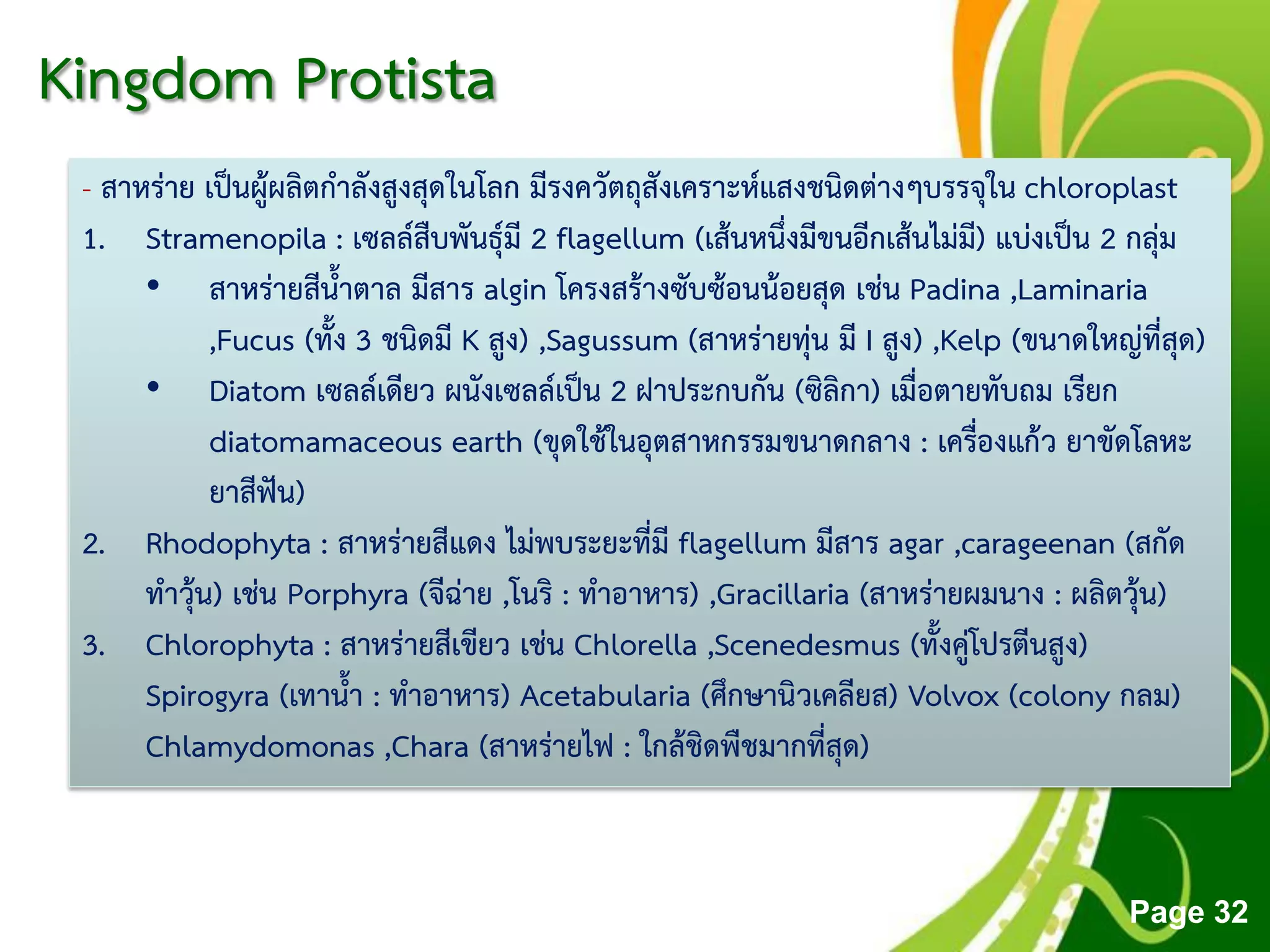 Free Powerpoint Templates
Page 32
Kingdom Protista
- สาหร่าย เป็นผู้ผลิตกาลังสูงสุดในโลก มีรงควัตถุสังเคราะห์แสงชนิดต่างๆบรรจุใน chloroplast
1. Stramenopila : เซลล์สืบพันธุ์มี 2 flagellum (เส้นหนึ่งมีขนอีกเส้นไม่มี) แบ่งเป็น 2 กลุ่ม
• สาหร่ายสีน้าตาล มีสาร algin โครงสร้างซับซ้อนน้อยสุด เช่น Padina ,Laminaria
,Fucus (ทั้ง 3 ชนิดมี K สูง) ,Sagussum (สาหร่ายทุ่น มี I สูง) ,Kelp (ขนาดใหญ่ที่สุด)
• Diatom เซลล์เดียว ผนังเซลล์เป็น 2 ฝาประกบกัน (ซิลิกา) เมื่อตายทับถม เรียก
diatomamaceous earth (ขุดใช้ในอุตสาหกรรมขนาดกลาง : เครื่องแก้ว ยาขัดโลหะ
ยาสีฟัน)
2. Rhodophyta : สาหร่ายสีแดง ไม่พบระยะที่มี flagellum มีสาร agar ,carageenan (สกัด
ทาวุ้น) เช่น Porphyra (จีฉ่าย ,โนริ : ทาอาหาร) ,Gracillaria (สาหร่ายผมนาง : ผลิตวุ้น)
3. Chlorophyta : สาหร่ายสีเขียว เช่น Chlorella ,Scenedesmus (ทั้งคู่โปรตีนสูง)
Spirogyra (เทาน้า : ทาอาหาร) Acetabularia (ศึกษานิวเคลียส) Volvox (colony กลม)
Chlamydomonas ,Chara (สาหร่ายไฟ : ใกล้ชิดพืชมากที่สุด)
 
