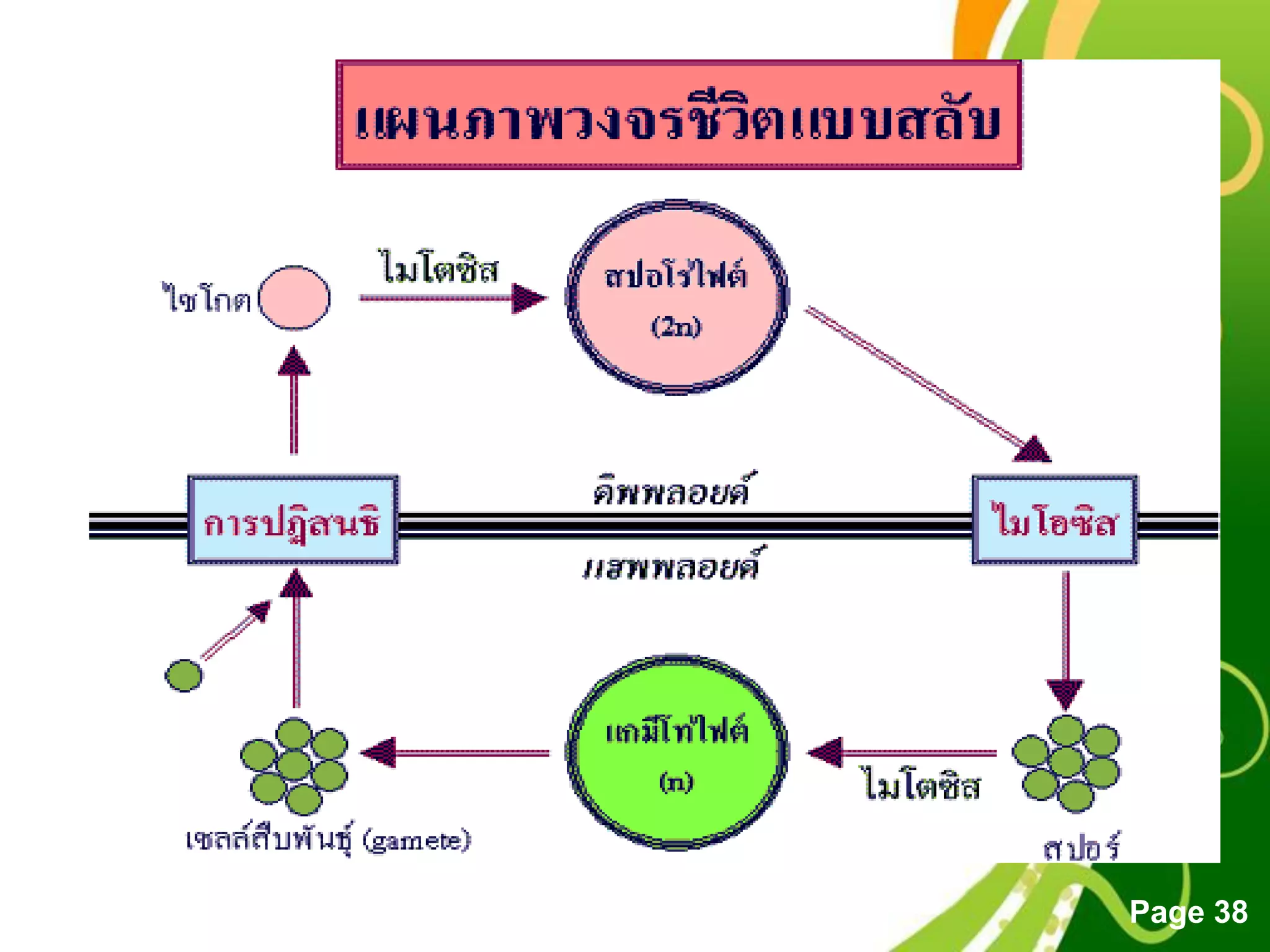 Free Powerpoint Templates
Page 38
 