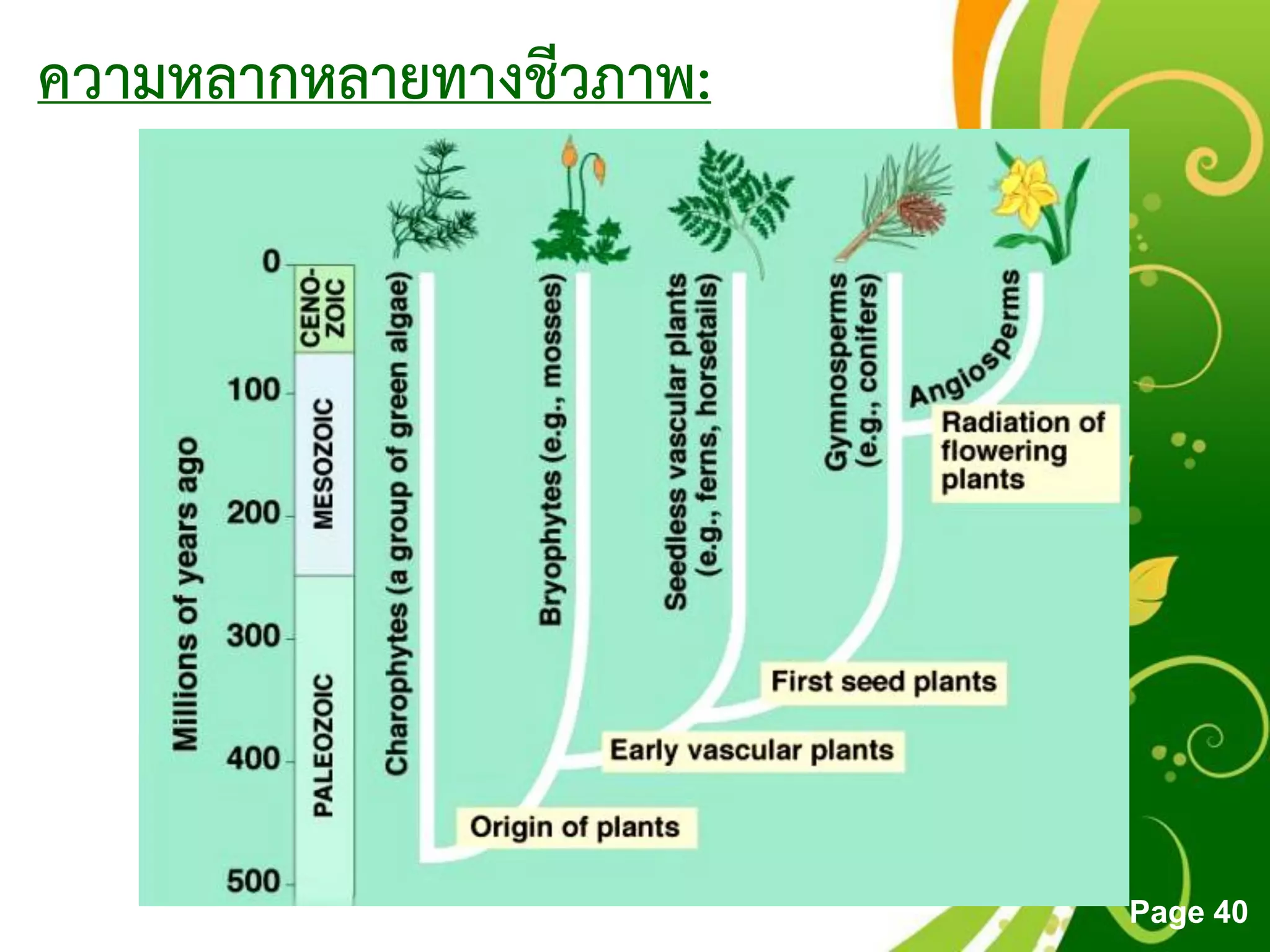 Free Powerpoint Templates
Page 40
ความหลากหลายทางชีวภาพ:
 