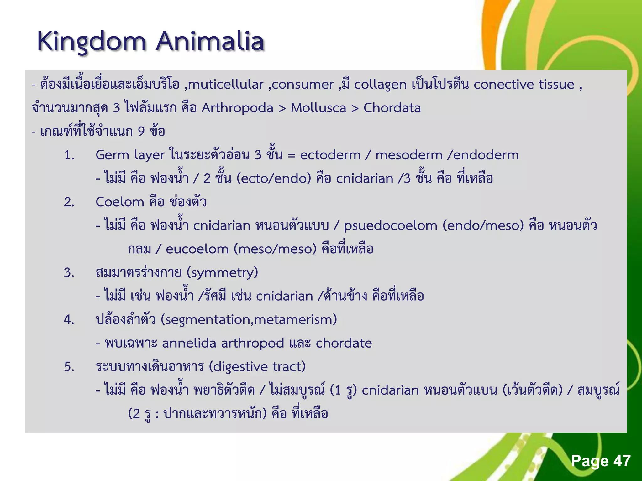 Free Powerpoint Templates
Page 47
Kingdom Animalia
- ต้องมีเนื้อเยื่อและเอ็มบริโอ ,muticellular ,consumer ,มี collagen เป็นโปรตีน conective tissue ,
จานวนมากสุด 3 ไฟลัมแรก คือ Arthropoda > Mollusca > Chordata
- เกณฑ์ที่ใช้จาแนก 9 ข้อ
1. Germ layer ในระยะตัวอ่อน 3 ชั้น = ectoderm / mesoderm /endoderm
- ไม่มี คือ ฟองน้า / 2 ชั้น (ecto/endo) คือ cnidarian /3 ชั้น คือ ที่เหลือ
2. Coelom คือ ช่องตัว
- ไม่มี คือ ฟองน้า cnidarian หนอนตัวแบบ / psuedocoelom (endo/meso) คือ หนอนตัว
กลม / eucoelom (meso/meso) คือที่เหลือ
3. สมมาตรร่างกาย (symmetry)
- ไม่มี เช่น ฟองน้า /รัศมี เช่น cnidarian /ด้านข้าง คือที่เหลือ
4. ปล้องลาตัว (segmentation,metamerism)
- พบเฉพาะ annelida arthropod และ chordate
5. ระบบทางเดินอาหาร (digestive tract)
- ไม่มี คือ ฟองน้า พยาธิตัวตืด / ไม่สมบูรณ์ (1 รู) cnidarian หนอนตัวแบน (เว้นตัวตืด) / สมบูรณ์
(2 รู : ปากและทวารหนัก) คือ ที่เหลือ
 