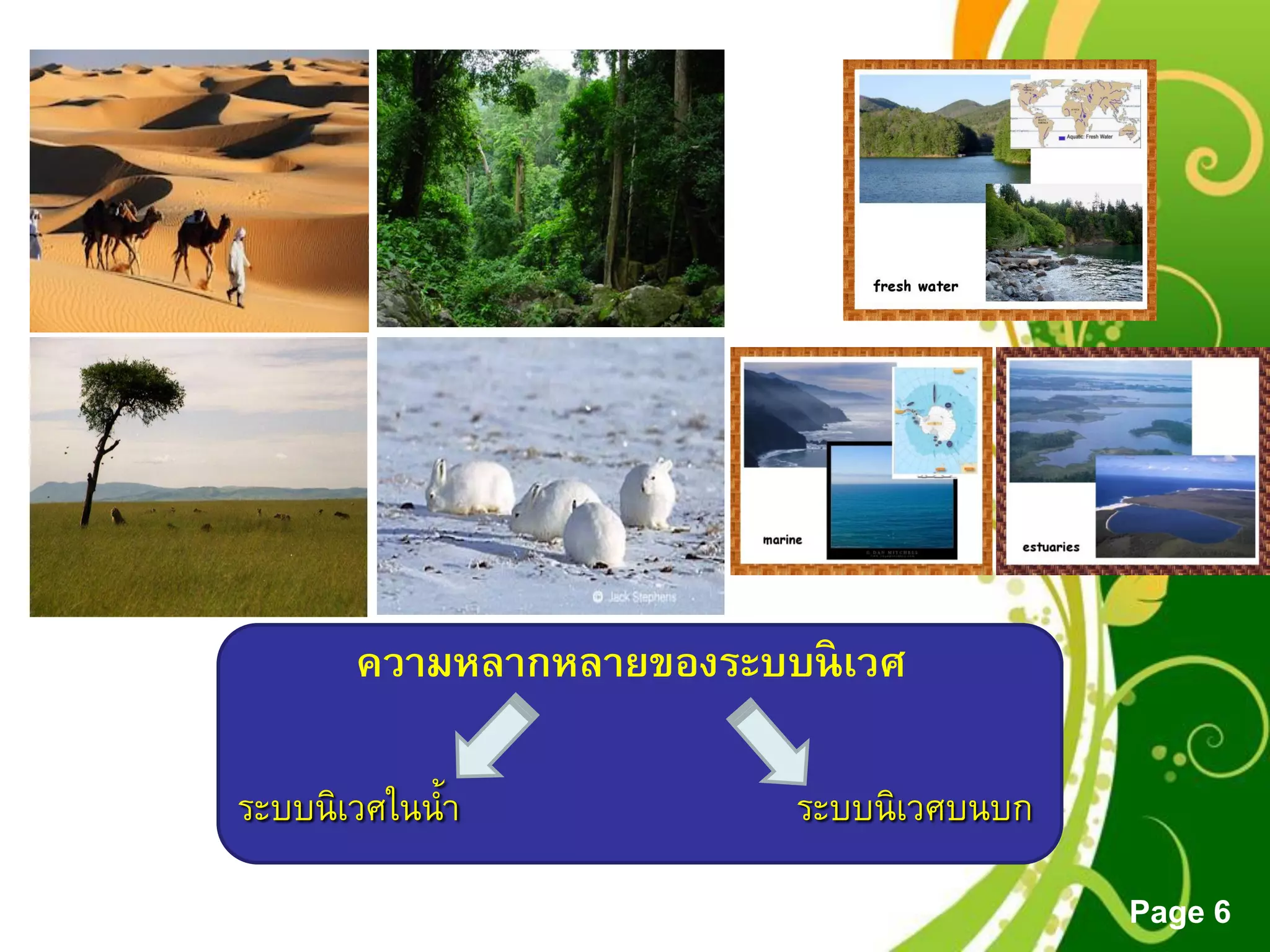 Free Powerpoint Templates
Page 6
ความหลากหลายของระบบนิเวศ
ระบบนิเวศบนบกระบบนิเวศในน้ำ
 