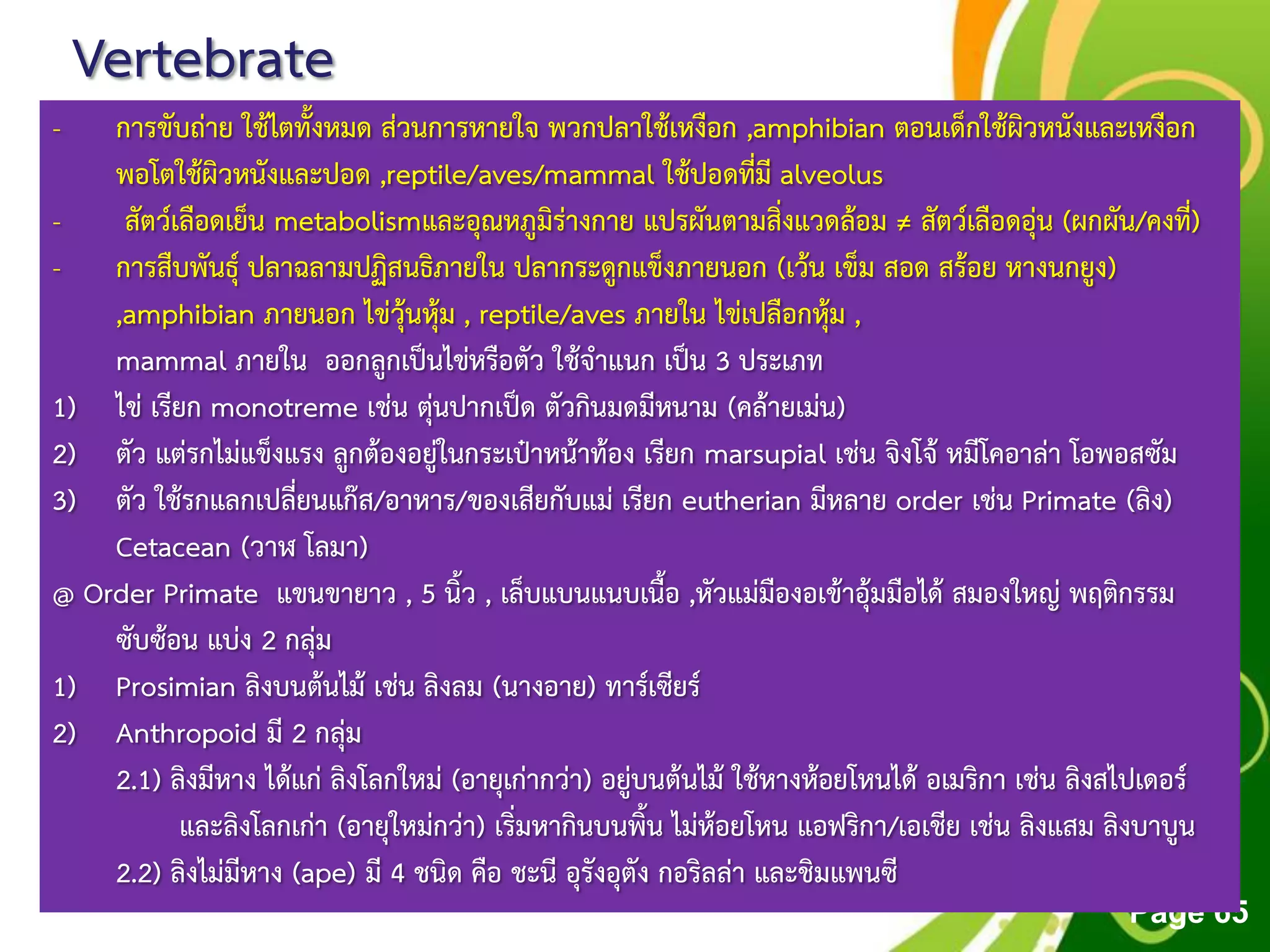 Free Powerpoint Templates
Page 65
Vertebrate
- การขับถ่าย ใช้ไตทั้งหมด ส่วนการหายใจ พวกปลาใช้เหงือก ,amphibian ตอนเด็กใช้ผิวหนังและเหงือก
พอโตใช้ผิวหนังและปอด ,reptile/aves/mammal ใช้ปอดที่มี alveolus
- สัตว์เลือดเย็น metabolismและอุณหภูมิร่างกาย แปรผันตามสิ่งแวดล้อม ≠ สัตว์เลือดอุ่น (ผกผัน/คงที่)
- การสืบพันธุ์ ปลาฉลามปฏิสนธิภายใน ปลากระดูกแข็งภายนอก (เว้น เข็ม สอด สร้อย หางนกยูง)
,amphibian ภายนอก ไข่วุ้นหุ้ม , reptile/aves ภายใน ไข่เปลือกหุ้ม ,
mammal ภายใน ออกลูกเป็นไข่หรือตัว ใช้จาแนก เป็น 3 ประเภท
1) ไข่ เรียก monotreme เช่น ตุ่นปากเป็ด ตัวกินมดมีหนาม (คล้ายเม่น)
2) ตัว แต่รกไม่แข็งแรง ลูกต้องอยู่ในกระเป๋าหน้าท้อง เรียก marsupial เช่น จิงโจ้ หมีโคอาล่า โอพอสซัม
3) ตัว ใช้รกแลกเปลี่ยนแก๊ส/อาหาร/ของเสียกับแม่ เรียก eutherian มีหลาย order เช่น Primate (ลิง)
Cetacean (วาฬ โลมา)
@ Order Primate แขนขายาว , 5 นิ้ว , เล็บแบนแนบเนื้อ ,หัวแม่มืองอเข้าอุ้มมือได้ สมองใหญ่ พฤติกรรม
ซับซ้อน แบ่ง 2 กลุ่ม
1) Prosimian ลิงบนต้นไม้ เช่น ลิงลม (นางอาย) ทาร์เซียร์
2) Anthropoid มี 2 กลุ่ม
2.1) ลิงมีหาง ได้แก่ ลิงโลกใหม่ (อายุเก่ากว่า) อยู่บนต้นไม้ ใช้หางห้อยโหนได้ อเมริกา เช่น ลิงสไปเดอร์
และลิงโลกเก่า (อายุใหม่กว่า) เริ่มหากินบนพิ้น ไม่ห้อยโหน แอฟริกา/เอเชีย เช่น ลิงแสม ลิงบาบูน
2.2) ลิงไม่มีหาง (ape) มี 4 ชนิด คือ ชะนี อุรังอุตัง กอริลล่า และชิมแพนซี
 