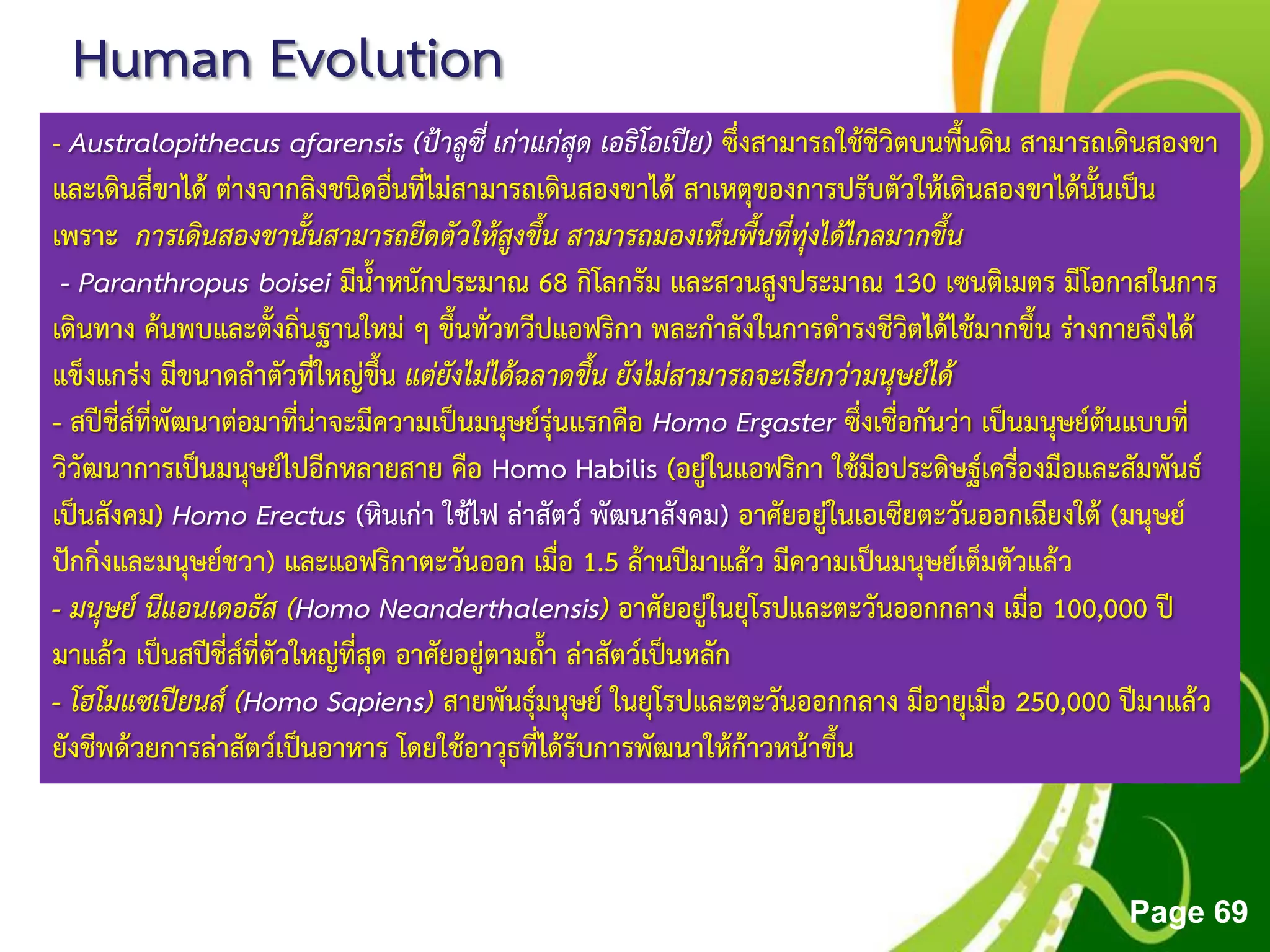 Free Powerpoint Templates
Page 69
Human Evolution
- Australopithecus afarensis (ป้าลูซี่ เก่าแก่สุด เอธิโอเปีย) ซึ่งสามารถใช้ชีวิตบนพื้นดิน สามารถเดินสองขา
และเดินสี่ขาได้ ต่างจากลิงชนิดอื่นที่ไม่สามารถเดินสองขาได้ สาเหตุของการปรับตัวให้เดินสองขาได้นั้นเป็น
เพราะ การเดินสองขานั้นสามารถยืดตัวให้สูงขึ้น สามารถมองเห็นพื้นที่ทุ่งได้ไกลมากขึ้น
- Paranthropus boisei มีน้าหนักประมาณ 68 กิโลกรัม และสวนสูงประมาณ 130 เซนติเมตร มีโอกาสในการ
เดินทาง ค้นพบและตั้งถิ่นฐานใหม่ ๆ ขึ้นทั่วทวีปแอฟริกา พละกาลังในการดารงชีวิตได้ไช้มากขึ้น ร่างกายจึงได้
แข็งแกร่ง มีขนาดลาตัวที่ใหญ่ขึ้น แต่ยังไม่ได้ฉลาดขึ้น ยังไม่สามารถจะเรียกว่ามนุษย์ได้
- สปีชี่ส์ที่พัฒนาต่อมาที่น่าจะมีความเป็นมนุษย์รุ่นแรกคือ Homo Ergaster ซึ่งเชื่อกันว่า เป็นมนุษย์ต้นแบบที่
วิวัฒนาการเป็นมนุษย์ไปอีกหลายสาย คือ Homo Habilis (อยู่ในแอฟริกา ใช้มือประดิษฐ์เครื่องมือและสัมพันธ์
เป็นสังคม) Homo Erectus (หินเก่า ใช้ไฟ ล่าสัตว์ พัฒนาสังคม) อาศัยอยู่ในเอเซียตะวันออกเฉียงใต้ (มนุษย์
ปักกิ่งและมนุษย์ชวา) และแอฟริกาตะวันออก เมื่อ 1.5 ล้านปีมาแล้ว มีความเป็นมนุษย์เต็มตัวแล้ว
- มนุษย์ นีแอนเดอธัส (Homo Neanderthalensis) อาศัยอยู่ในยุโรปและตะวันออกกลาง เมื่อ 100,000 ปี
มาแล้ว เป็นสปีชี่ส์ที่ตัวใหญ่ที่สุด อาศัยอยู่ตามถ้า ล่าสัตว์เป็นหลัก
- โฮโมแซเปียนส์ (Homo Sapiens) สายพันธุ์มนุษย์ ในยุโรปและตะวันออกกลาง มีอายุเมื่อ 250,000 ปีมาแล้ว
ยังชีพด้วยการล่าสัตว์เป็นอาหาร โดยใช้อาวุธที่ได้รับการพัฒนาให้ก้าวหน้าขึ้น
 