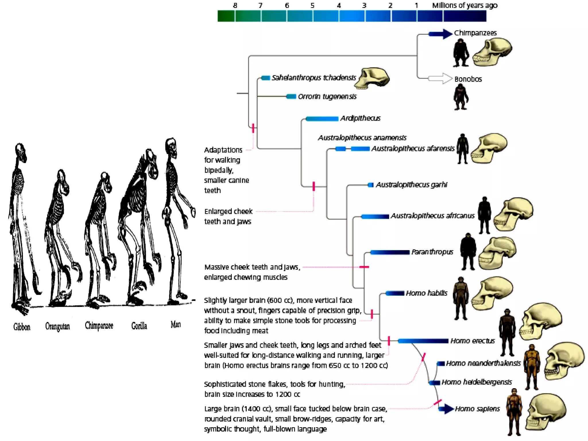 Free Powerpoint Templates
Page 70
 