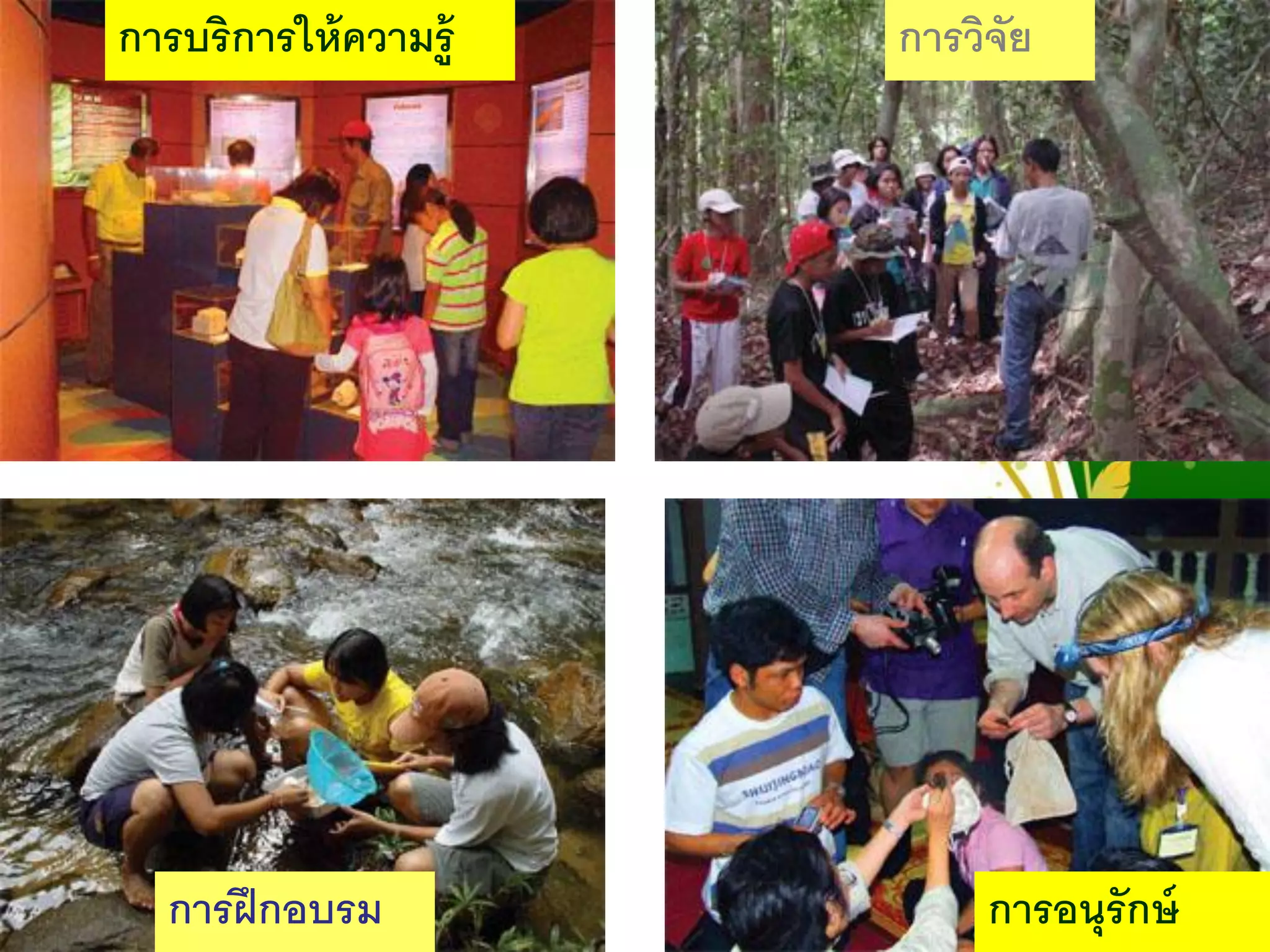 Free Powerpoint Templates
Page 8
8
การบริการให้ความรู้ การวิจัย
การฝึกอบรม การอนุรักษ์
 