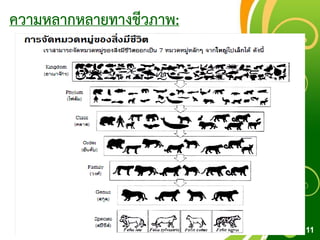Free Powerpoint Templates
Page 11
ความหลากหลายทางชีวภาพ:
 