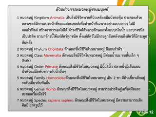 Free Powerpoint Templates
Page 12
ตัวอย่างการหมวดหมู่ของมนุษย์
1 หมวดหมู่ Kingdom Animalia เป็นสิ่งมีชีวิตพวกที่นิวเคลียสมีผนังห่อหุ้ม ประกอบด้วย
หลาเซลล์มีการแบ่งหน้าที่ของแต่ละเซลล์เพื่อทาหน้าที่เฉพาะอย่างแบบถาวร ไม่มี
คลอโรฟิลล์ สร้างอาหารเองไม่ได้ ดารงชีวิตได้หลายลักษณะทั้งบนบกในน้า และบางชนิด
เป็นปรสิต อาณาจักรนี้ได้แก่สัตว์ทุกชนิด ตั้งแต่สัตว์ไม่มีกระดูกสันหลังจนถึงสัตว์ที่มีกระดูก
สันหลัง
2 หมวดหมู่ Phylum Chordata ลักษณะสิ่งมีชีวิตในหมวดหมู่ มีแกนลาตัว
3 หมวดหมู่ Class Mammalia ลักษณะสิ่งมีชีวิตในหมวดหมู่ มีต่อมน้านม ขนสั้นเล็ก ๆ
(hair)
4 หมวดหมู่ Order Primate ลักษณะสิ่งมีชีวิตในหมวดหมู่ มีนิ้ว5นิ้ว ปลายนิ้วมีเส้นแบน
นิ้วหัวแม่มือพับขวางกับนิ้วอื่นๆ
5 หมวดหมู่ Family Homonidaeลักษณะสิ่งมีชีวิตในหมวดหมู่ เดิน 2 ขา มีฟันเขี้ยวเล็กอยู่
ระดับเดียวกับฟันอื่น
6 หมวดหมู่ Genus Homo ลักษณะสิ่งมีชีวิตในหมวดหมู่ สามารถประดิษฐ์เครื่องมือและ
สะสมเครื่องมือไว้
7 หมวดหมู่ Species sapiens sapiens ลักษณะสิ่งมีชีวิตในหมวดหมู่ มีความสามารถเชิง
ศิลป์ วาดรูปไว้
 