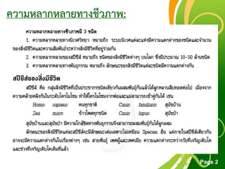 Free Powerpoint Templates
Page 2
ความหลากหลายทางชีวภาพ:
 