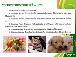 Free Powerpoint Templates
Page 23
ความหลากหลายทางชีวภาพ:
 