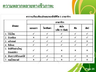 Free Powerpoint Templates
Page 25
ความหลากหลายทางชีวภาพ:
 