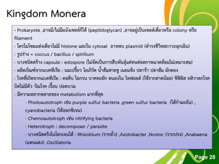 Free Powerpoint Templates
Page 28
Kingdom Monera
- Prokaryote ,อาจมี/ไม่มีผนังเซลล์ก็ได้ (peptidoglycan) ,อาจอยู่เป็นเซลล์เดี่ยวหรือ colony หรือ
filament
- โครโมโซมแท่งเดียวไม่มี histone และใน cytosal อาจพบ plasmid (ดารงชีวิตสภาวะฉุกเฉิน)
- รูปร่าง = coccus / bacillus / spirillum
- บางชนิดสร้าง capsule : edospore (ไม่จัดเป็นการสืบพันธุ์แต่ทนต่อสภาพแวดล้อมไม่เหมาะสม)
- ผลิตภัณฑ์จากแบคทีเรีย : นมเปรี้ยว โยเกิร์ต น้าส้มสายชู เนยแข็ง ปลาร้า ปลาส้ม ผักดอง
- โรคที่เกิดจากแบคทีเรีย : คอตีบ ไอกรน บาคทะยัก หนองใน ไทฟอยด์ (ไข้รากสาดน้อย) ซิฟิลิส อหิวาตกโรค
บิดไม่มีตัว วัณโรค เรื้อน ปอดบวม
- มีความหลากหลายของ metabolism มากที่สุด
- Photoautotroph เช่น purple sulfur bacteria ,green sulfur bacteria (ได้กามะถัน) ,
cyanobacteria (ได้ออกซิเจน)
- Chemoautotroph เช่น nitrifying bacteria
- Heterotroph : decomposer / parasite
- บางชนิดตรึงไนโตรเจนได้ : Rhizobium (รากถั่ว) ,Azotobacter ,Nostoc (รากปรง) ,Anabaena
(แหนแดง) ,Oscillatoria
 