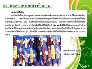 Free Powerpoint Templates
Page 3
ความหลากหลายทางชีวภาพ:
ความหลากหลายทาง
พันธุกรรมข้าวโพด
 