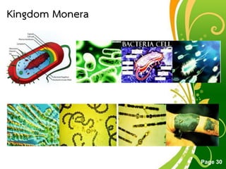Free Powerpoint Templates
Page 30
Kingdom Monera
 