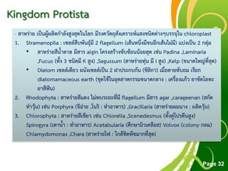 Free Powerpoint Templates
Page 32
Kingdom Protista
- สาหร่าย เป็นผู้ผลิตกาลังสูงสุดในโลก มีรงควัตถุสังเคราะห์แสงชนิดต่างๆบรรจุใน chloroplast
1. Stramenopila : เซลล์สืบพันธุ์มี 2 flagellum (เส้นหนึ่งมีขนอีกเส้นไม่มี) แบ่งเป็น 2 กลุ่ม
• สาหร่ายสีน้าตาล มีสาร algin โครงสร้างซับซ้อนน้อยสุด เช่น Padina ,Laminaria
,Fucus (ทั้ง 3 ชนิดมี K สูง) ,Sagussum (สาหร่ายทุ่น มี I สูง) ,Kelp (ขนาดใหญ่ที่สุด)
• Diatom เซลล์เดียว ผนังเซลล์เป็น 2 ฝาประกบกัน (ซิลิกา) เมื่อตายทับถม เรียก
diatomamaceous earth (ขุดใช้ในอุตสาหกรรมขนาดกลาง : เครื่องแก้ว ยาขัดโลหะ
ยาสีฟัน)
2. Rhodophyta : สาหร่ายสีแดง ไม่พบระยะที่มี flagellum มีสาร agar ,carageenan (สกัด
ทาวุ้น) เช่น Porphyra (จีฉ่าย ,โนริ : ทาอาหาร) ,Gracillaria (สาหร่ายผมนาง : ผลิตวุ้น)
3. Chlorophyta : สาหร่ายสีเขียว เช่น Chlorella ,Scenedesmus (ทั้งคู่โปรตีนสูง)
Spirogyra (เทาน้า : ทาอาหาร) Acetabularia (ศึกษานิวเคลียส) Volvox (colony กลม)
Chlamydomonas ,Chara (สาหร่ายไฟ : ใกล้ชิดพืชมากที่สุด)
 