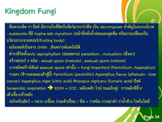 Free Powerpoint Templates
Page 34
Kingdom Fungi
- คือพวกเห็ด รา ยีสต์ มีความใกล้ชิดกับสัตว์มากกว่าพืช เป็น decomposer สาคัญในระบบนิเวศ
- eukaryote ที่มี hypha และ mycelium (หน้าที่หลั่งน้าย่อยและดูดซึม หรืออาจเปลี่ยนเป็น
อวัยวะกระจายสปอร์/fruiting body)
- ผนังเซลล์เป็นสาร chitin ,สังเคราะห์แสงไม่ได้
- ดารงชีวิตทั้งแบบ saprophytism (ย่อยสลาย) parasitism , mutualism (พึ่งพา)
- สร้างสปอร์ 2 ชนิด : sexual spore (meiosis) , asexual spore (mitosis)
- บางชนิดสร้างได้แต่ asexual spore เท่านั้น = fungi imperfecti (Penicillium ,Aspergillus)
- ราแดง (ข้าวแดงและเต้าหู้ยี้) Penicillium (penicillin) Aspergillus flavus (aflatoxin : liver
cancer) Aspergillus niger (citric acid) Rhizopus nigricans (fumaric acid) ยีสต์
(anaerobic respiration  EtOH + CO2 : หมักเหล้า ไวน์ ขนมปังฟู) การหมักซีอิ้ว/
เต้าเจี้ยว/ถั่วหมัก
- ก่อโรคในสัตว์ = กลาก เกลื้อน ง่ามเท้าเปื่อย / พืช = ราสนิม ราเขม่าดา ราน้าค้าง โรคใบไหม้
 